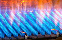 Newborough gas fired boilers